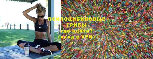 дмт Белокуриха